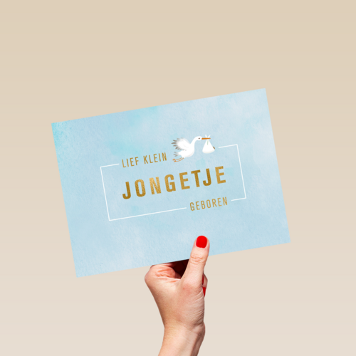 Babykaart zoon Ooievaar Een klein jongetje geboren