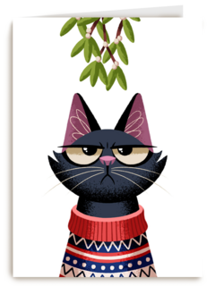 grumpy kat under the mistletoe