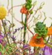 Boeket Bloemen Spring Is In The Air Deluxe