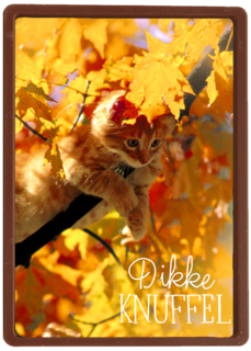 herfst kaart dikke herfst knuffel