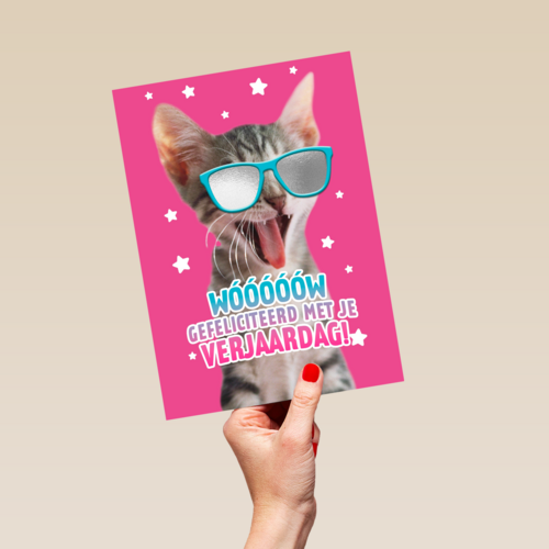 gefeliciteerd van deze coole kat