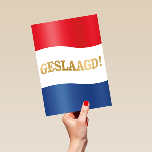 geslaagd kaart nederlandse vlag
