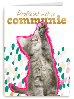 Proficiat met je communie kat