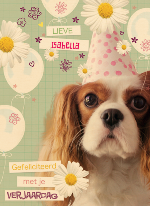 Houten Kaart Verjaardagskaarten | Prodo Dieren Lieve Gefeliciteerd Met Je Verjaardag