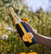Chandon Garden Spritz 75 cl