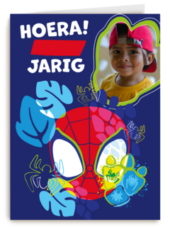 Spidey and friends Verjaardagskaart