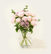 Brievenbusbloemen Ombre Rosa