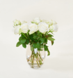 Brievenbusbloemen Rozen Wit