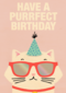 Verjaardagskaart tiener meisje Have a purrfect birthday