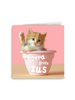 Geboorte felicitatie zusje