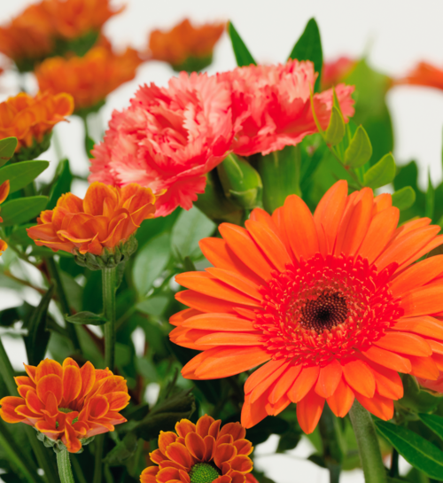 Boeket Bloemen Emmanuel