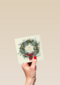 Kerstkrans Met Strik