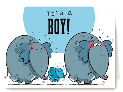 Kaart Hallmark | Geboorte Felicitatie | Funny Mail Its A Boy