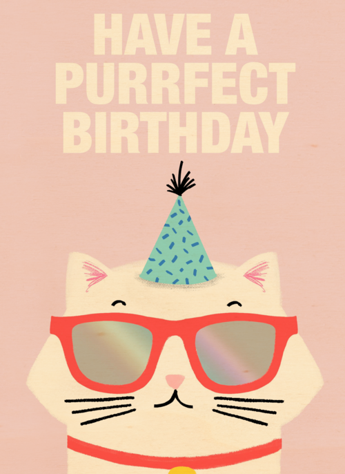 Verjaardagskaart tiener meisje Have a purrfect birthday
