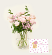 Brievenbusbloemen Ombre Rosa