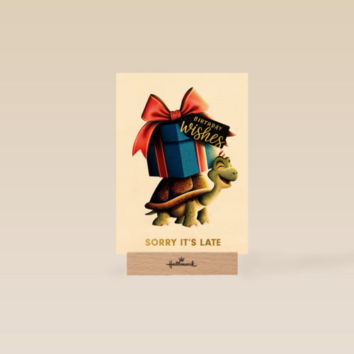 folio sorry its late turtle with present
