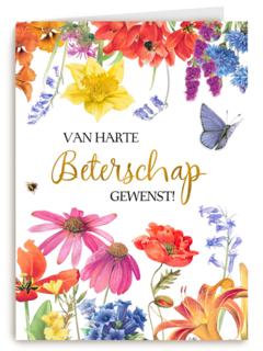 beterschapskaart van harte beterschap gewenst