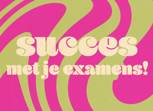 Houten Kaart Diploma Rijbewijs | Houten Kaart Hallmark | Diploma Rijbewijs | Swirl Succes Examens
