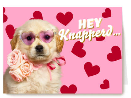 Hey knapperd