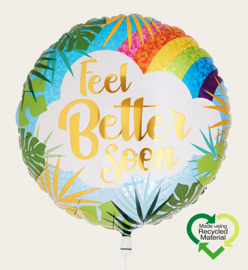 Ballon Beterschap Regenboog Multi Eco