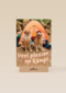 Op kamp kaart 2 honden bij tent