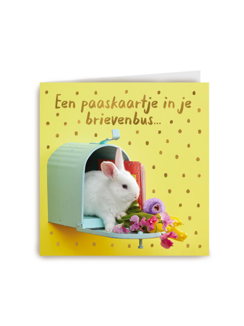 Paaskaart konijntje in brievenbus
