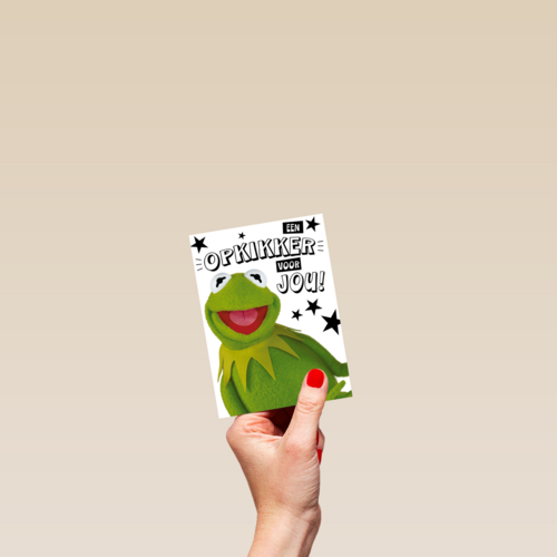 Beterschapskaart Kermit Een opkikker voor jou