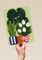 Nieuw Huis Planten