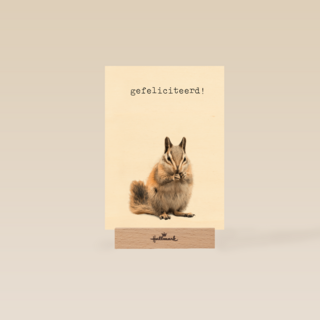 Gefeliciteerd kaart furry cuddles eekhoorn