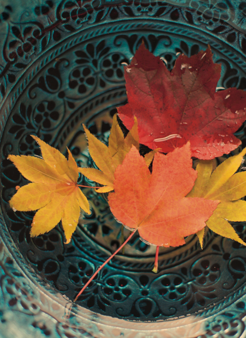 Houten Kaart | Herfst Kaart Herfstbladeren