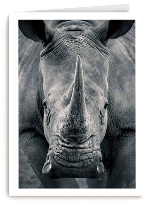 blanco kaart neushoorn