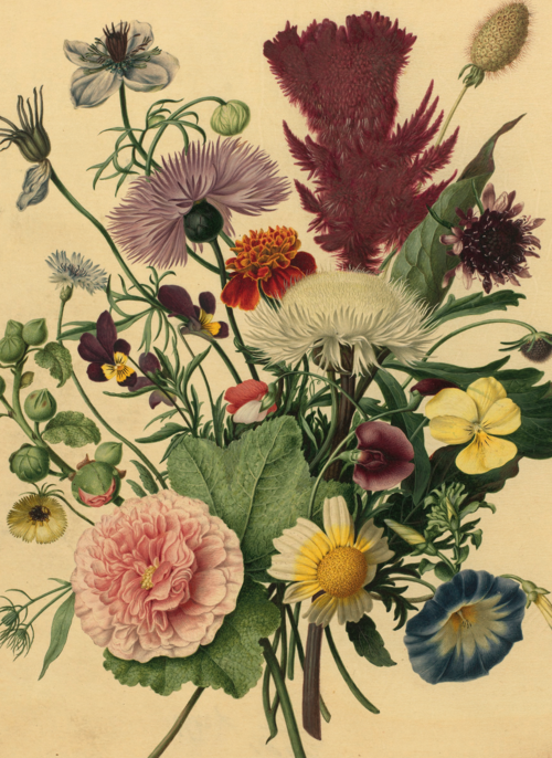 studio art kaart van schilderij met bloemen blanco
