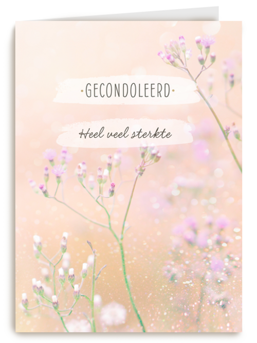 Gecondoleerd Heel veel sterkte