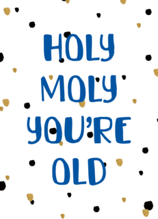 Verjaardagskaart holy moly you are old
