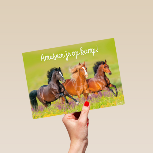 amuseer je op kamp
