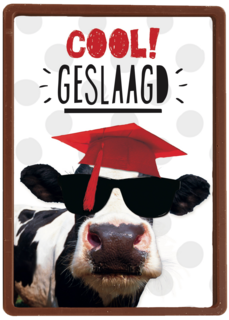 examen cool geslaagd koe