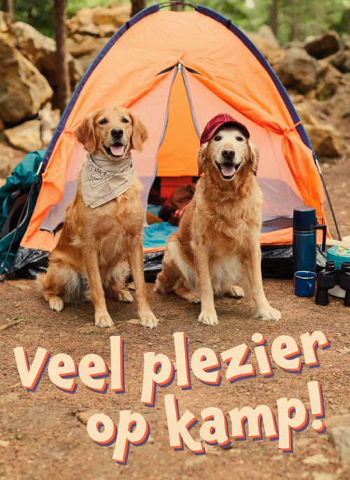 Op kamp kaart 2 honden bij tent