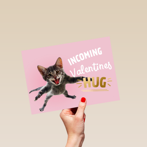 valentijnskaart grappig incoming valentines hug