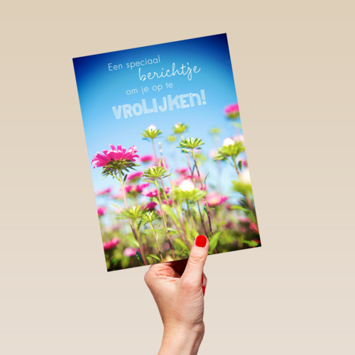 bloemenveld om je op te vrolijken