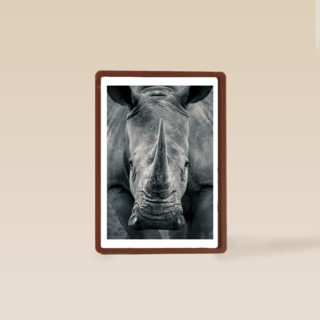 blanco kaart neushoorn