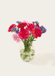 Brievenbusbloemen Roze Paars Mix