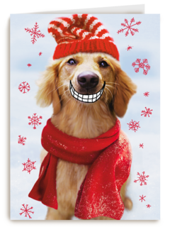 Big smile dog christmas