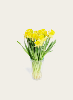 Brievenbus Boeket Narcis