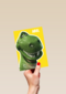 Toy Story verjaardagskaart Rex