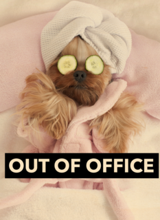 out of office in rust staykation