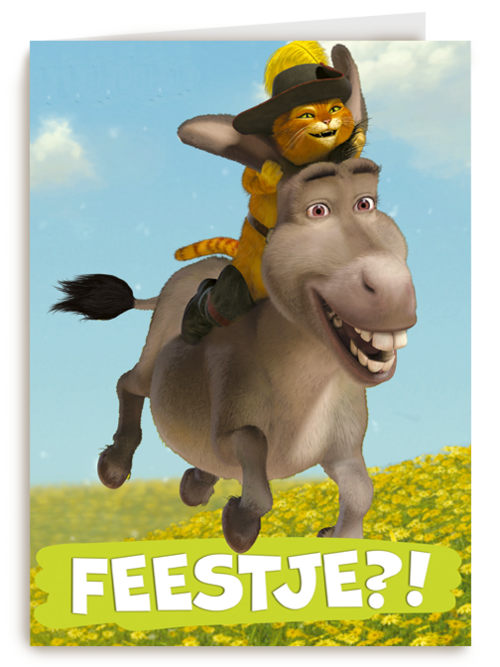 shrek feestje met donkey en puss in boots