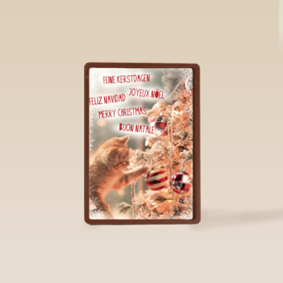 meertalig kat en kerstboom