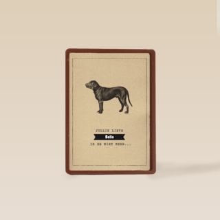 condoleance huisdier jullie lieve hond is er niet meer