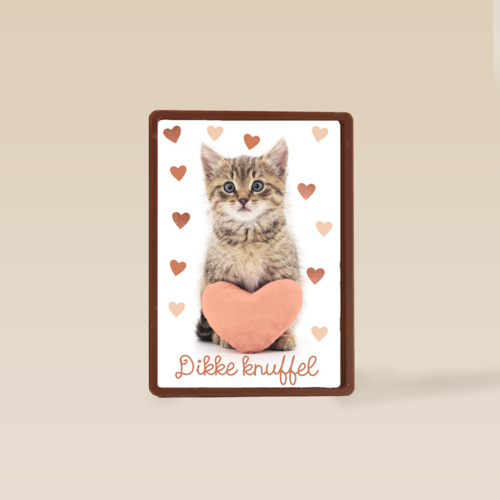 Liefde kaart kat met hart en dikke knuffel