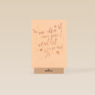 Voor zoveel verdriet zijn er geen woorden